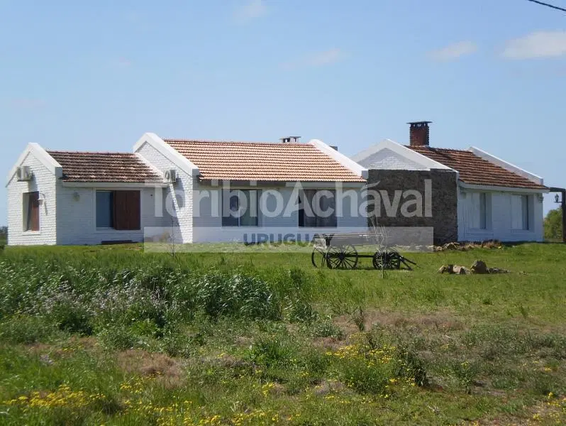 2 - Laguna de los Patos  (Aeropuerto) 2