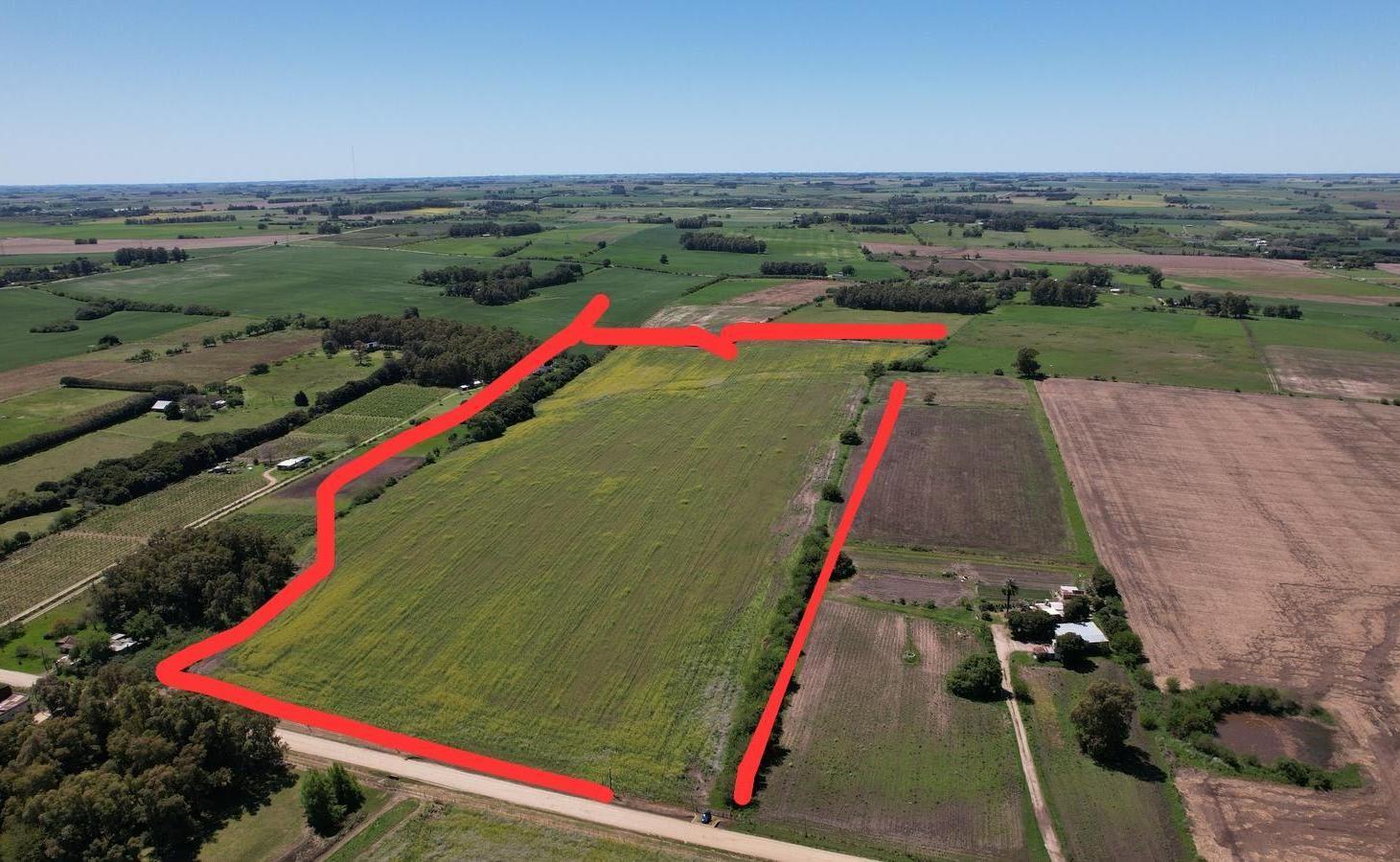 Foto de Chacra de 15 hectáreas en venta en Colonia | Potencial de, imagen 1