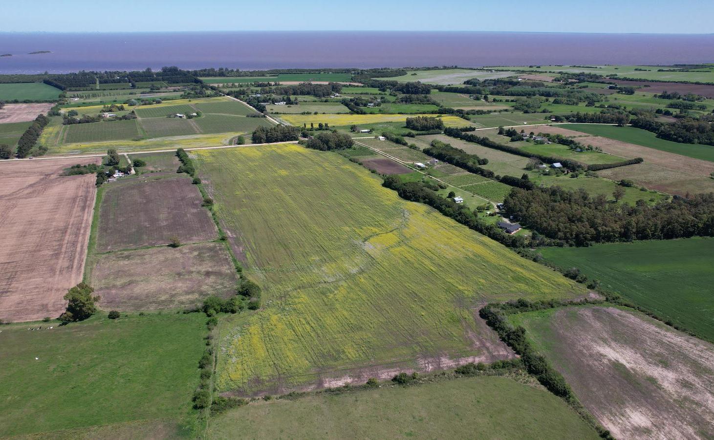 Foto de Chacra de 15 hectáreas en venta en Colonia | Potencial de, imagen 3
