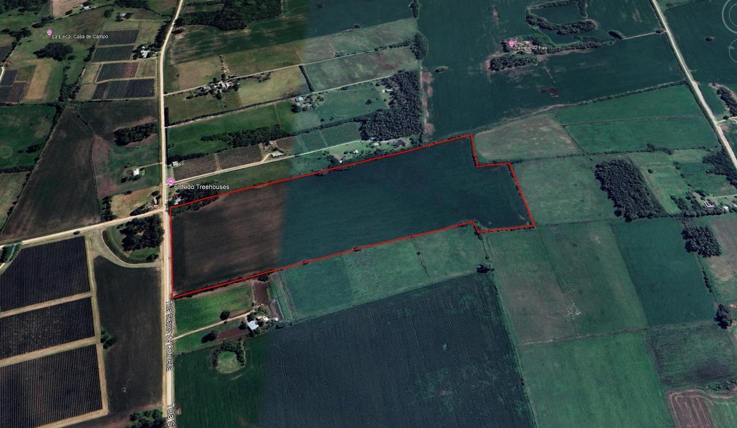 Foto de Chacra de 15 hectáreas en venta en Colonia | Potencial de, imagen 4