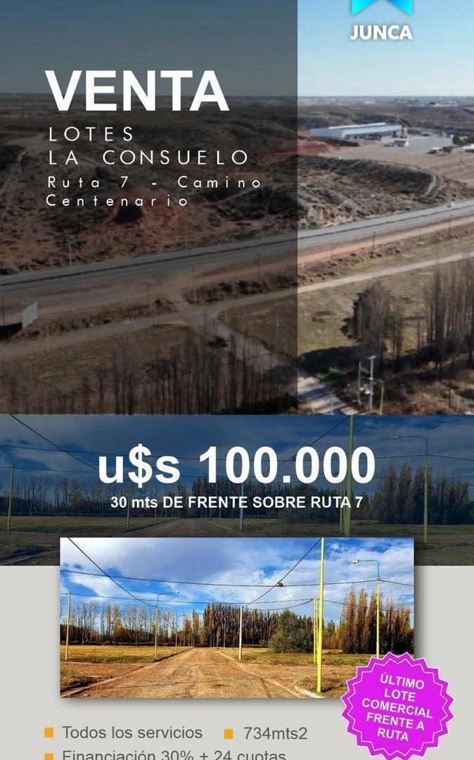 Foto de LOTES 500 m2 CENTENARIO - "La Consuelo", imagen 2