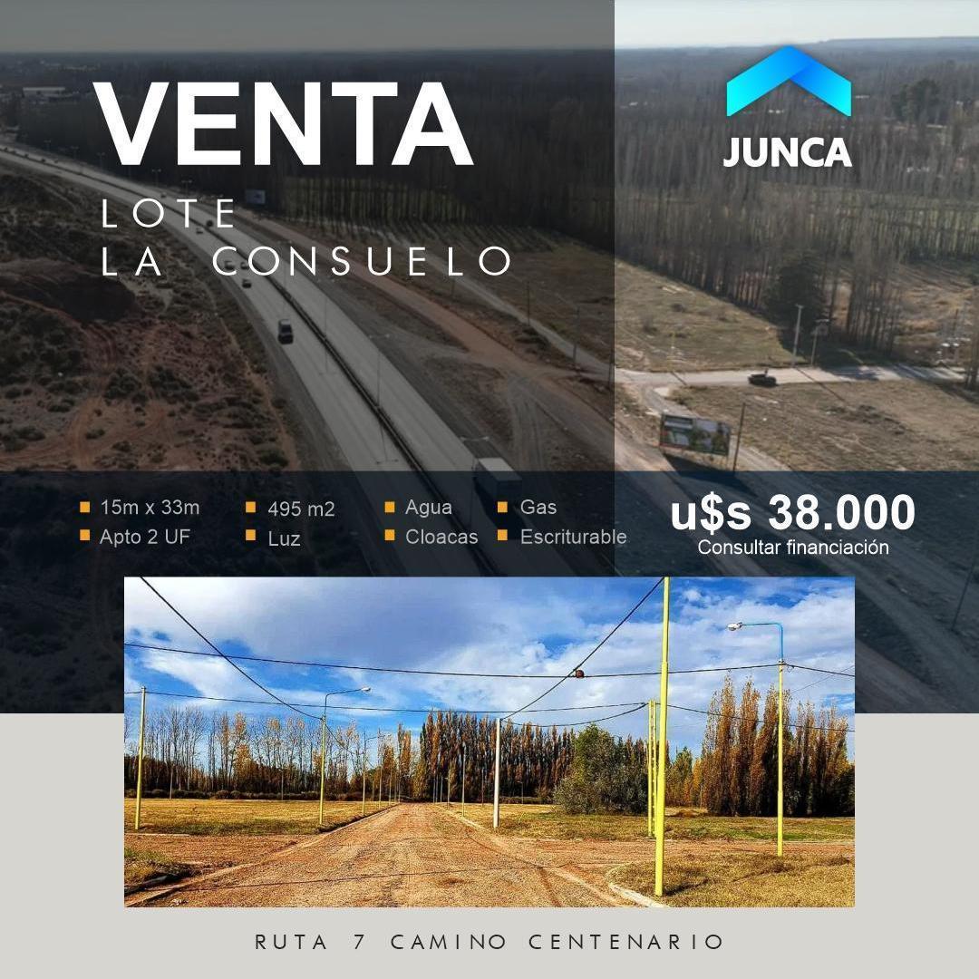Foto de LOTES 500 m2 CENTENARIO - "La Consuelo", imagen 3