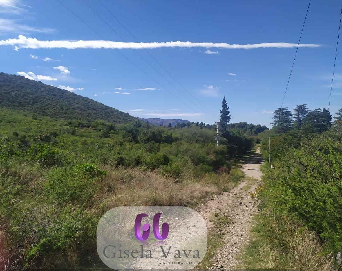 Foto de LOTE en VILLA ELENA – CORTADERAS – SAN LUIS, imagen 4