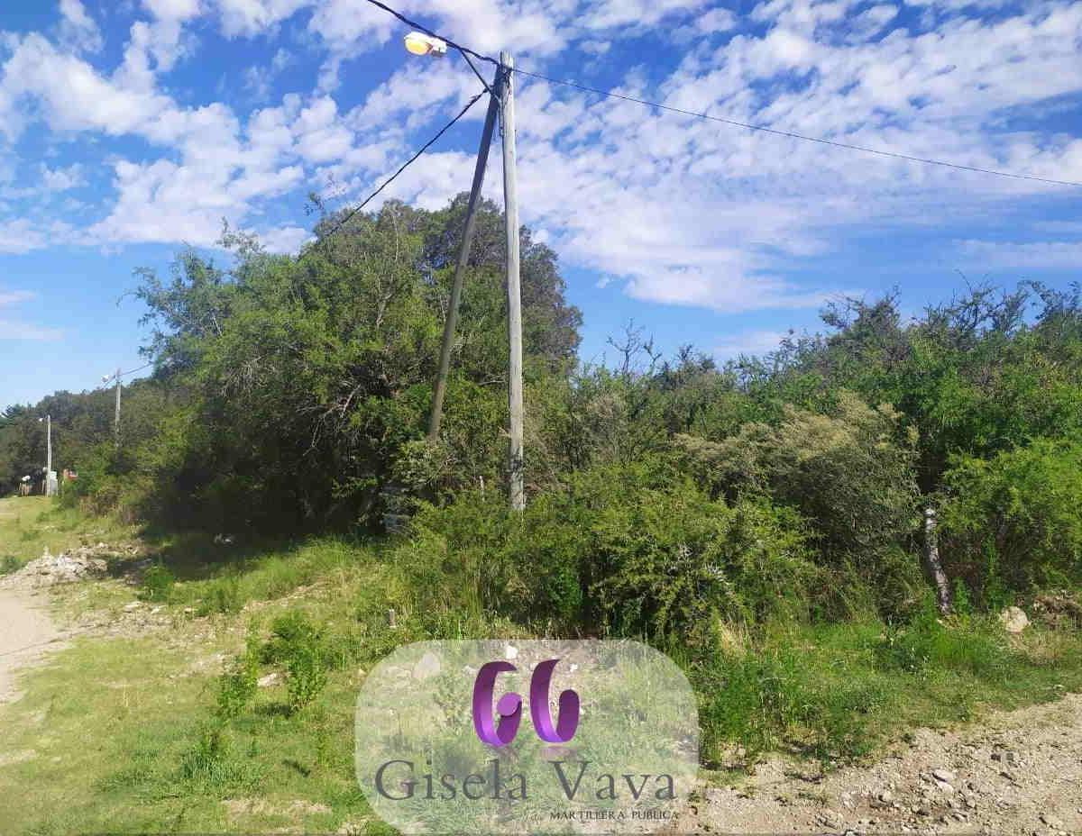 Foto de LOTE en VILLA ELENA – CORTADERAS – SAN LUIS, imagen 2