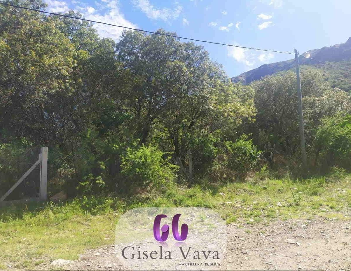 LOTE en VILLA ELENA – CORTADERAS – SAN LUIS