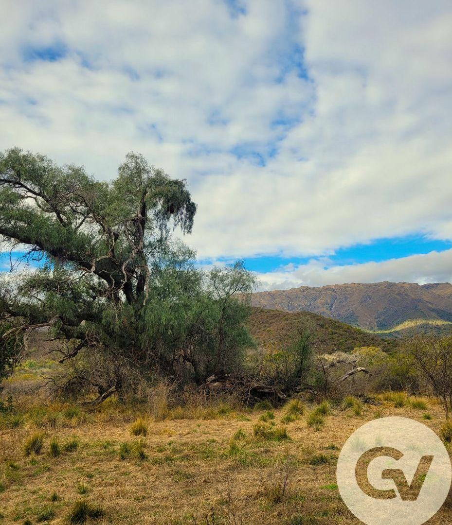 Foto de ESPECTACULAR FRACCIÓN EN CARPINTERÍA, SAN LUIS, imagen 2