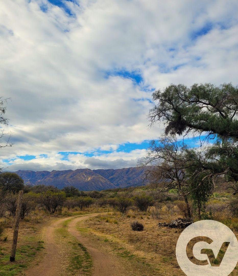 Foto de ESPECTACULAR FRACCIÓN EN CARPINTERÍA, SAN LUIS, imagen 3