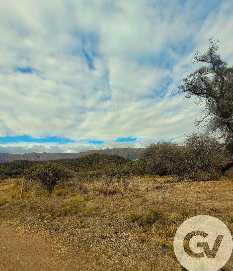 Foto de ESPECTACULAR FRACCIÓN EN CARPINTERÍA, SAN LUIS, imagen 5