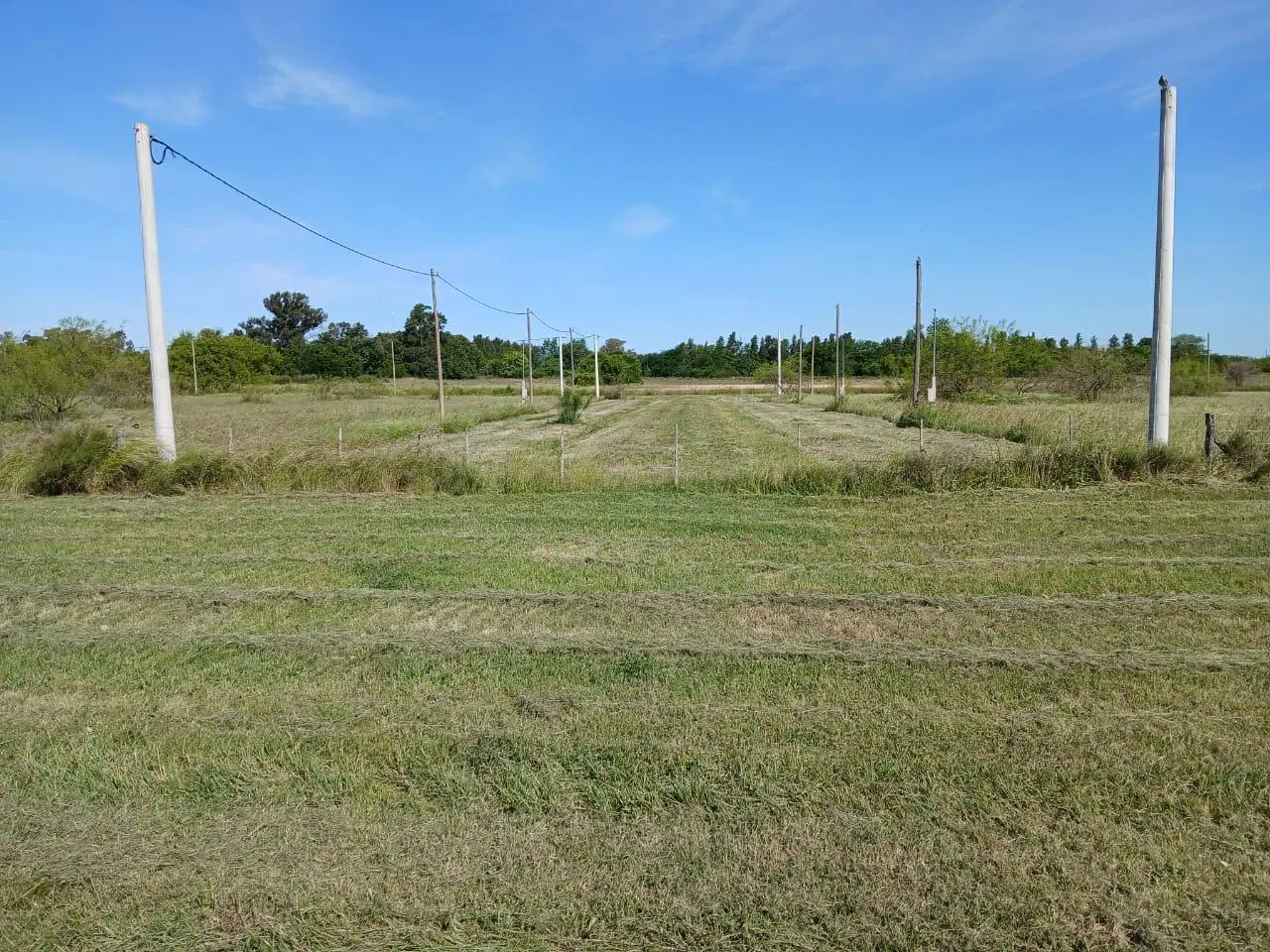 Venta de Terreno 2