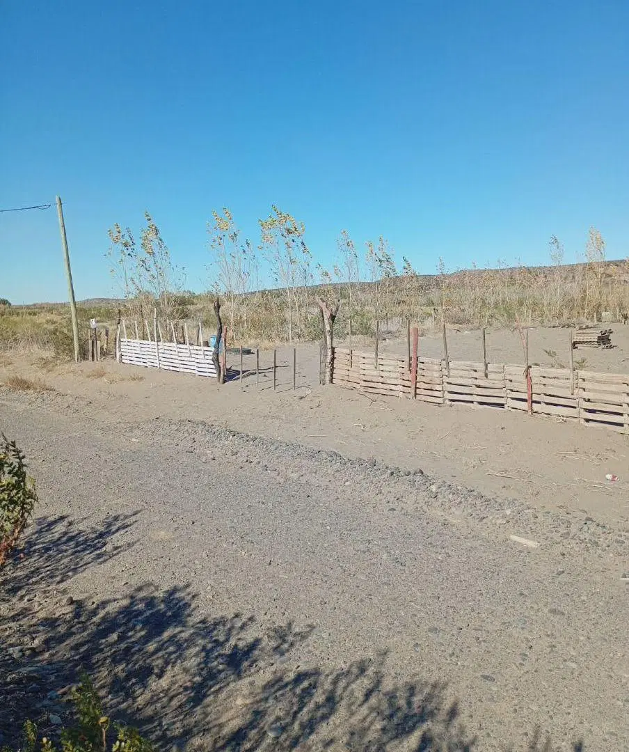 Excelente Terreno de 6000 m² en alquiler en Álamos de Añelo 3