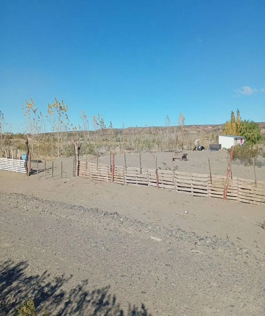 Excelente Terreno de 6000 m² en alquiler en Álamos de Añelo 5