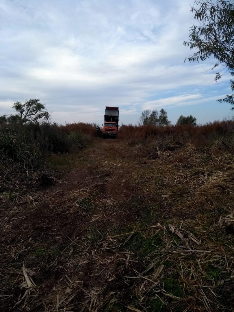 Foto de VENTA DE HECTAREAS PARA DESARROLLO PORTUARIO EN IBICUY ER, imagen 3