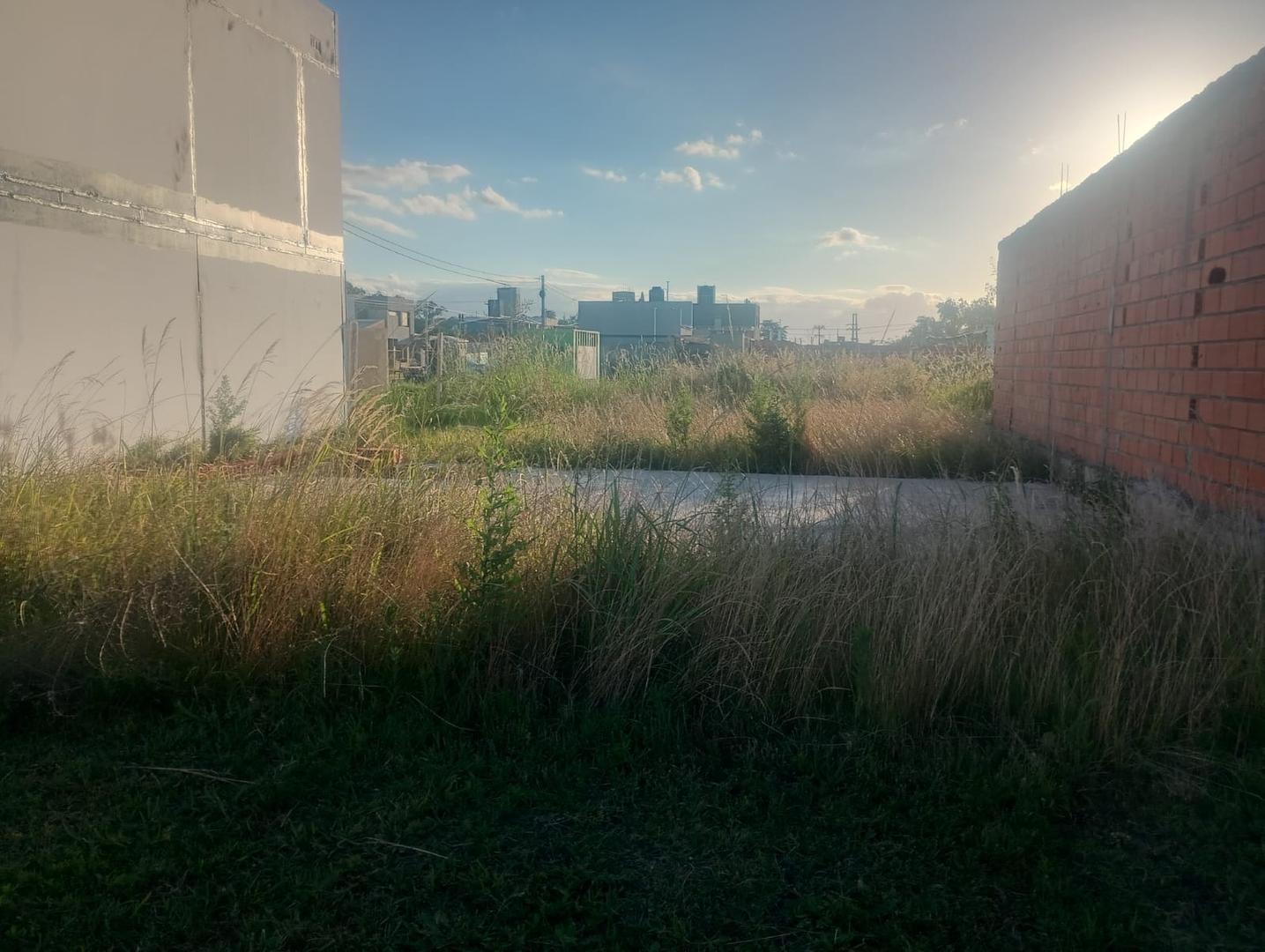 Foto de VENTA DE TERRENO EN ECOPUEBLO ALVEAR, imagen 4