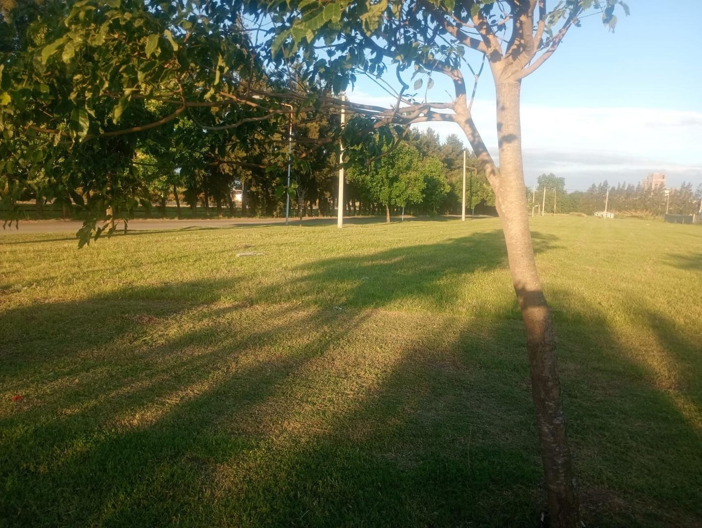 Foto de VENTA DE TERRENO EN ECOPUEBLO ALVEAR, imagen 3