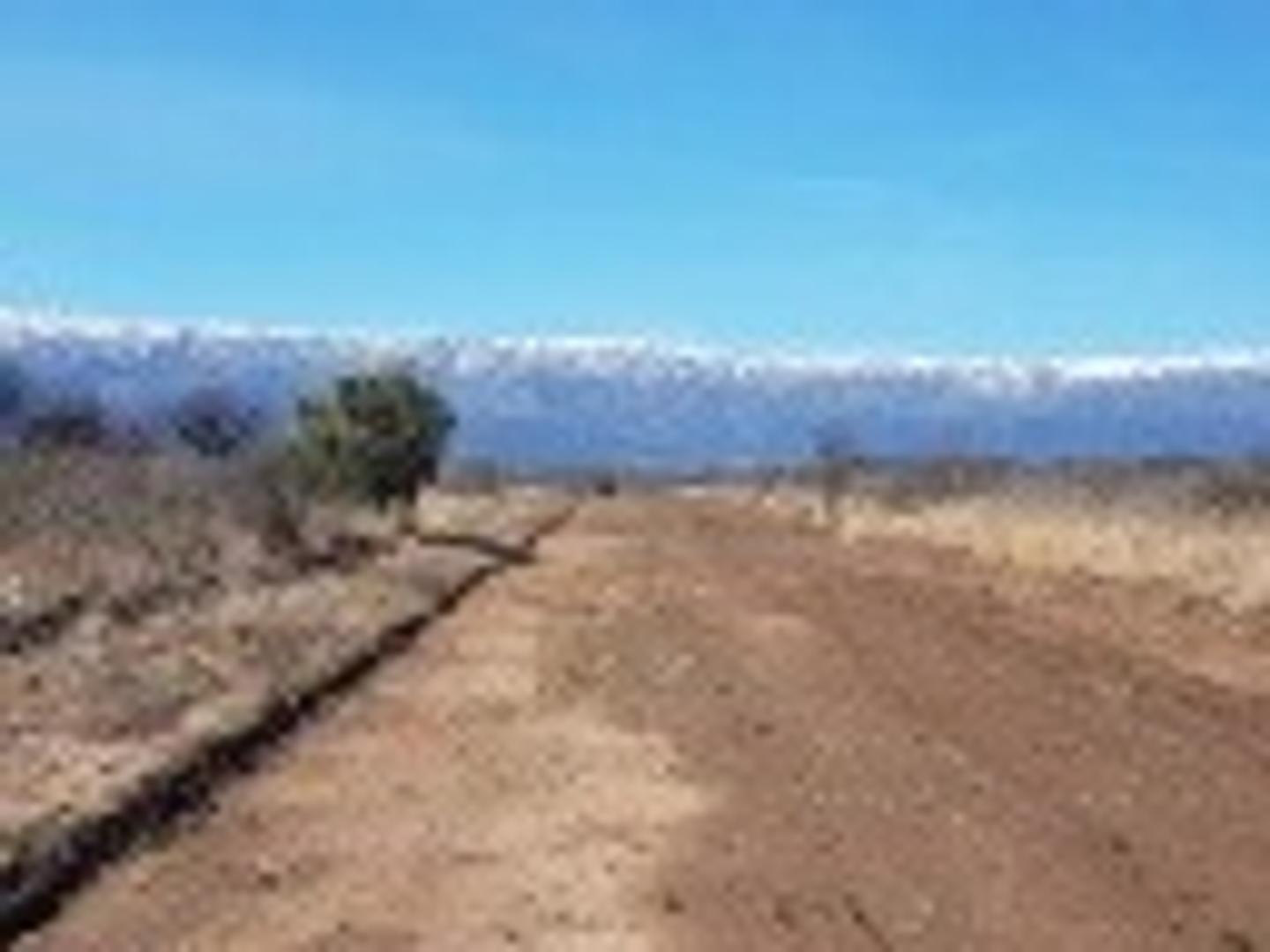 Foto de VENTA DE LOTE EN ESTACION CONLARA SAN LUIS, imagen 3
