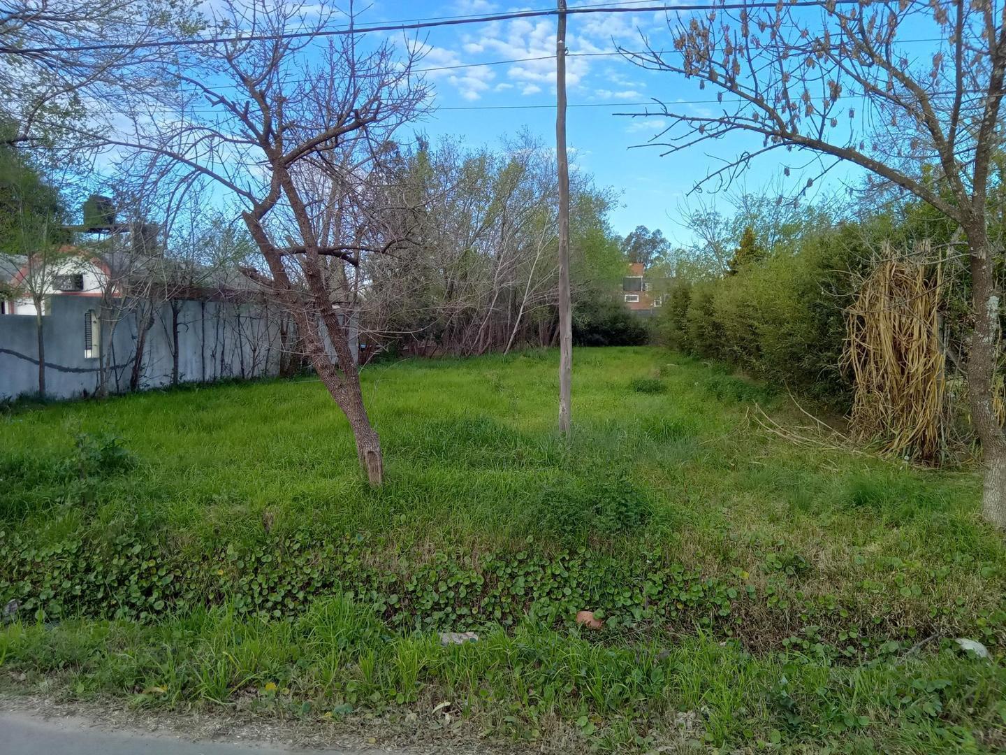Foto de TERRENO EN VENTA, ALQUILER O PERMUTA, ZONA ESTRATÉGICA FUNES, imagen 3