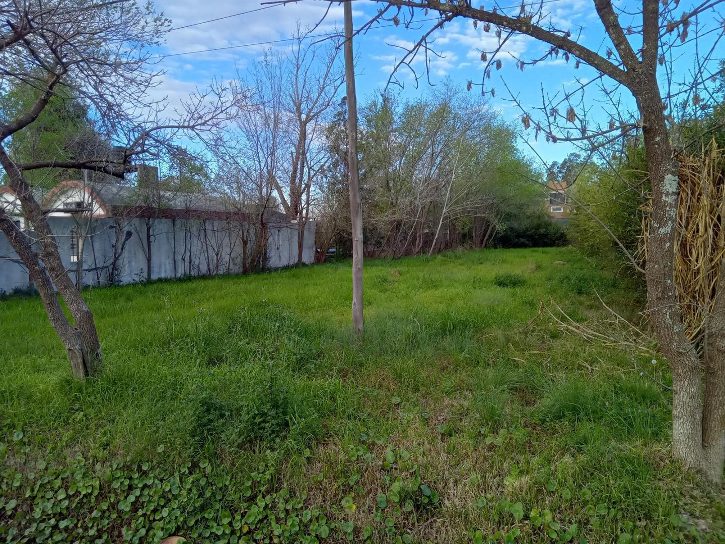 Foto de TERRENO EN VENTA, ALQUILER O PERMUTA, ZONA ESTRATÉGICA FUNES, imagen 2