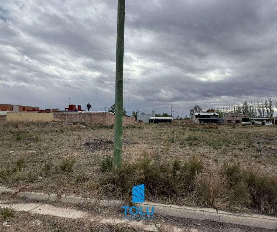 Foto de Lote barrio residencial Tres Marías, Plottier, imagen 4