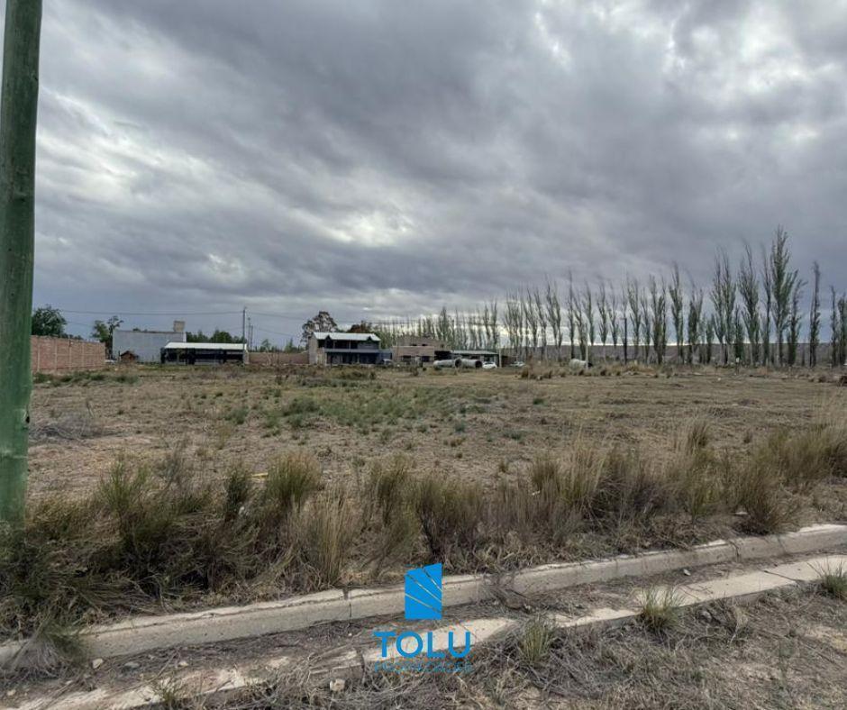 Foto de Lote barrio residencial Tres Marías, Plottier, imagen 3