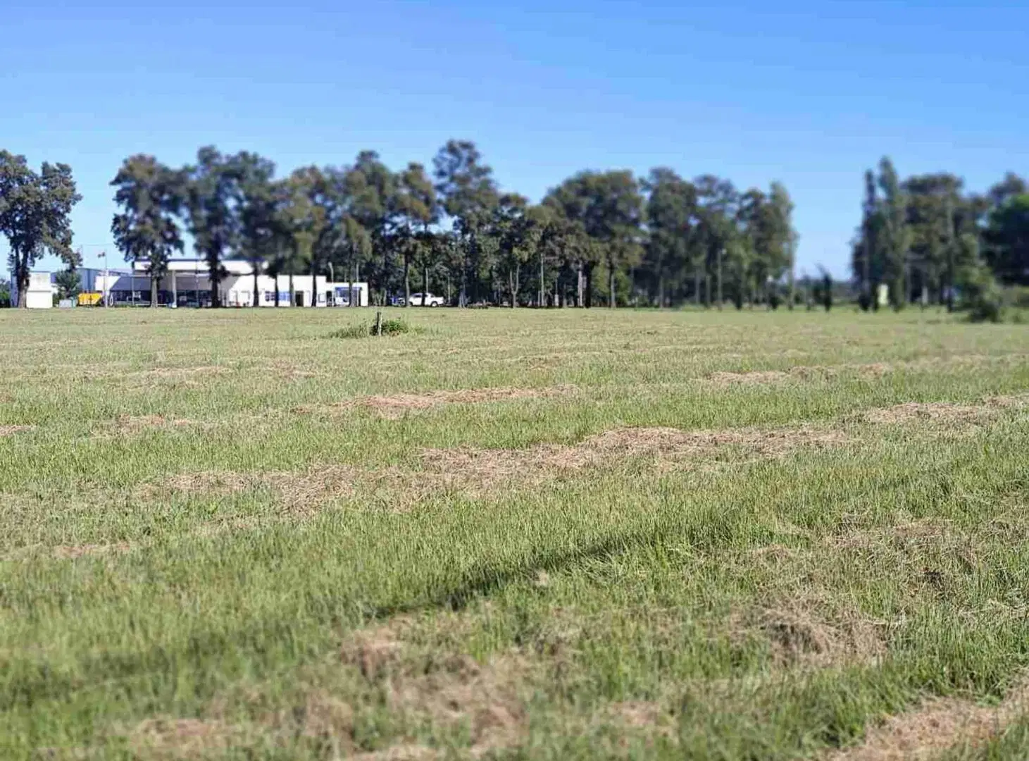GRAN TERRENO EN VENTA EN CAYASTA. 4