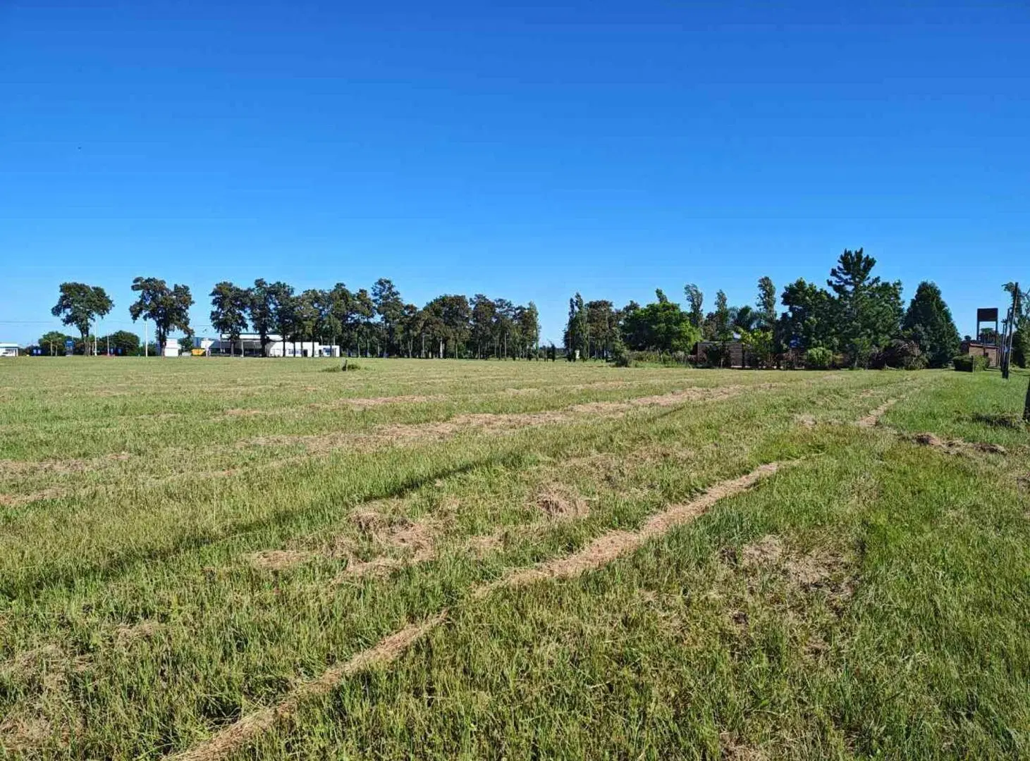 GRAN TERRENO EN VENTA EN CAYASTA. 5