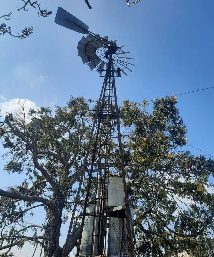 Venta campo productivo sobre Ruta 11 4