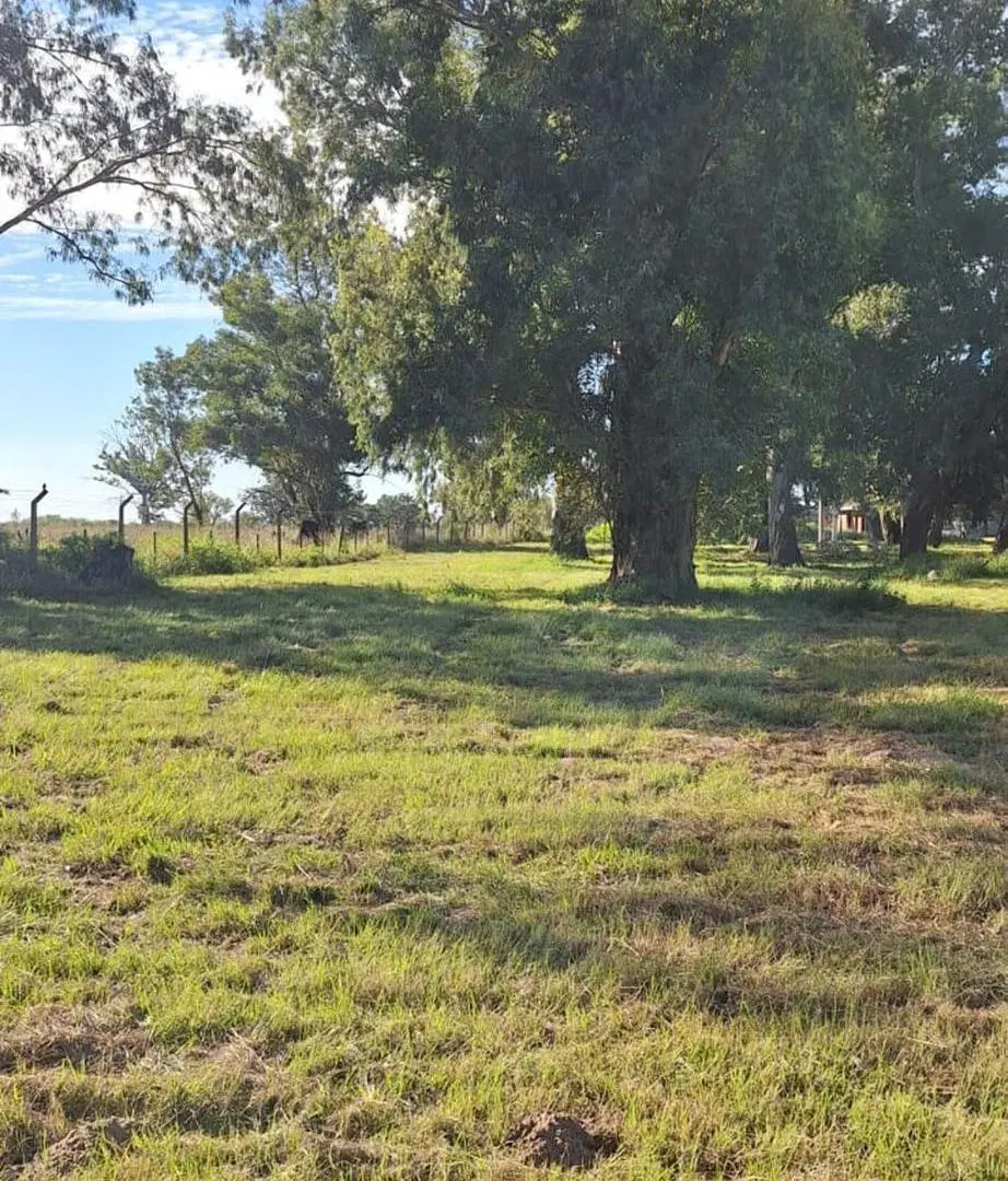 Vendo lote 937 m2 · Aldea Setubal · Barrio cerrado 5