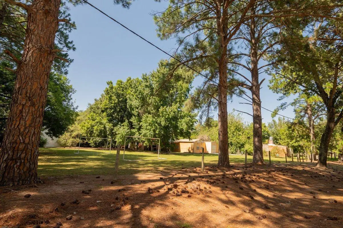 Venta Quinta 2 dorm, pileta en 2142 mt2 forestados 4