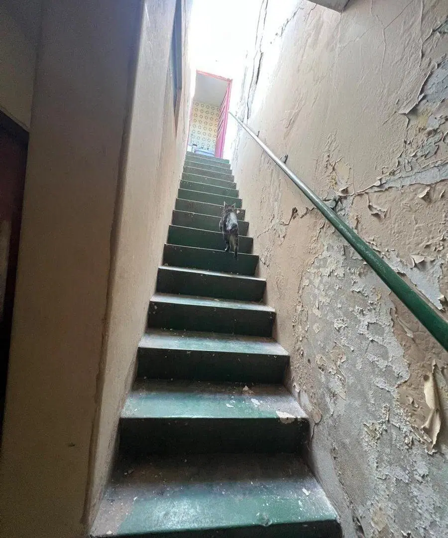 OPORTUNIDAD Venta de casa de 2 plantas 5