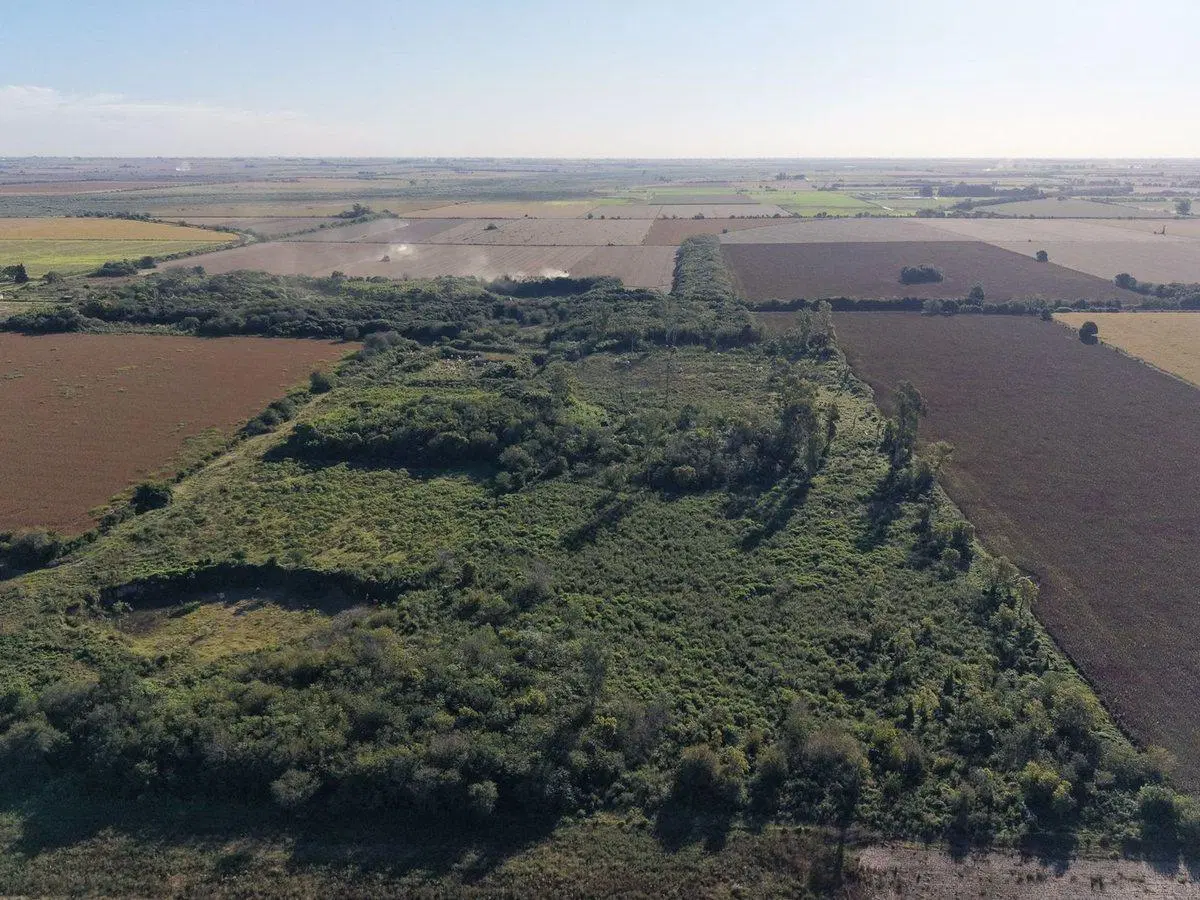 CAMPO EN GESSLER 2,5 HECTAREAS 5