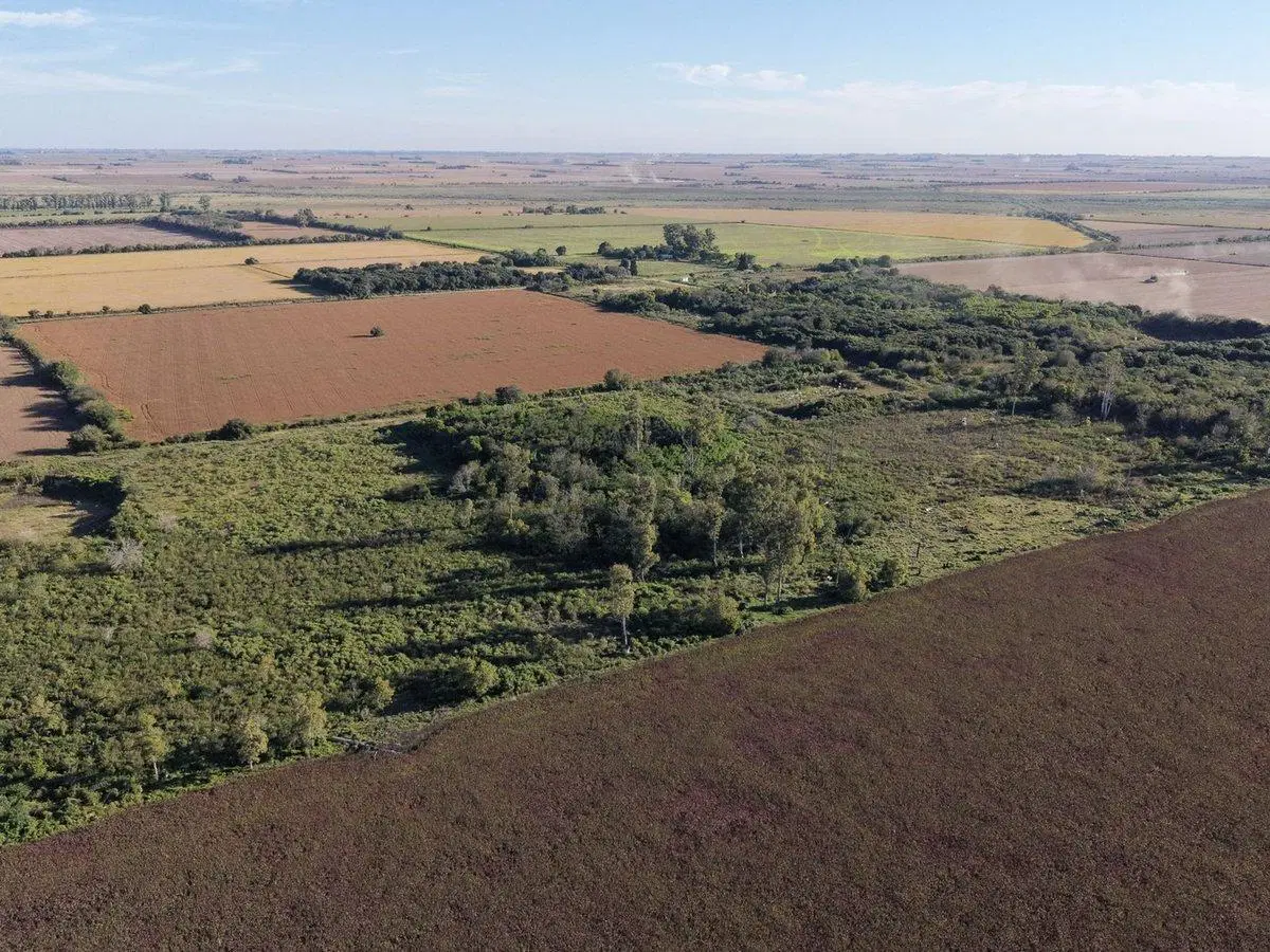 CAMPO EN GESSLER 2,5 HECTAREAS 2