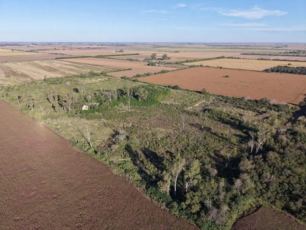 CAMPO EN GESSLER 2,5 HECTAREAS 4