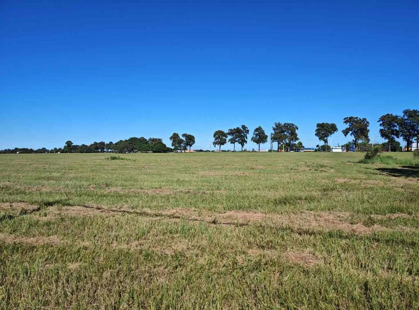 GRAN TERRENO EN VENTA EN CAYASTA. 4