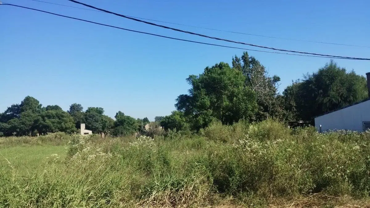 TERRENO EN RINCON 3