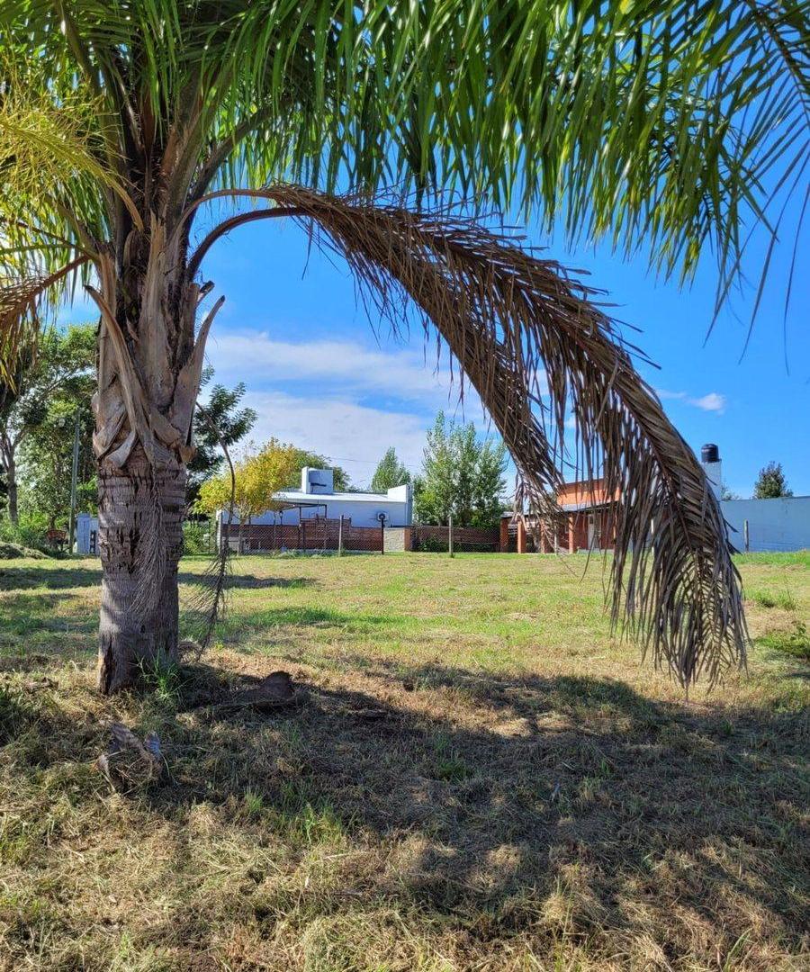 Foto de Lote en Faro del Leyes, imagen 2