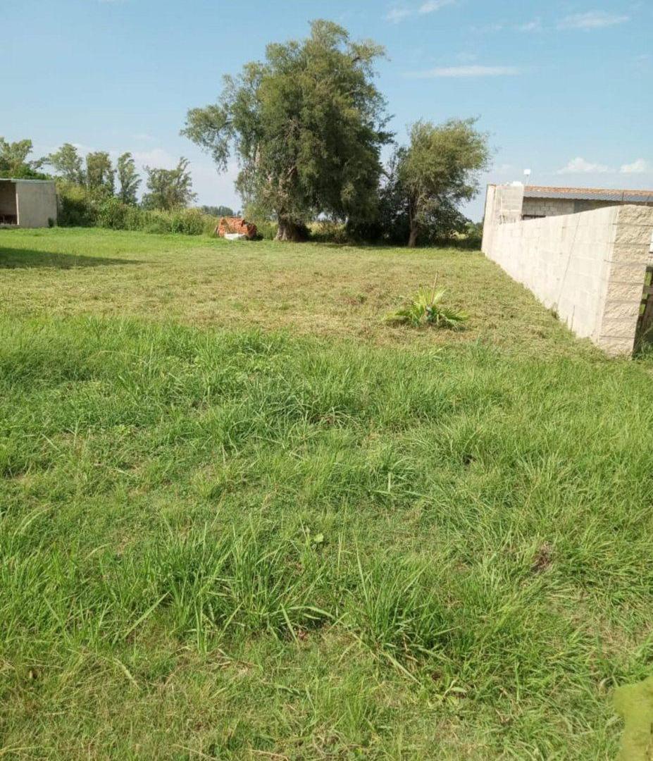 Foto de TERRENO en VENTA LOTEO "LAS ACACIAS" ARROYO AGUIAR, imagen 3
