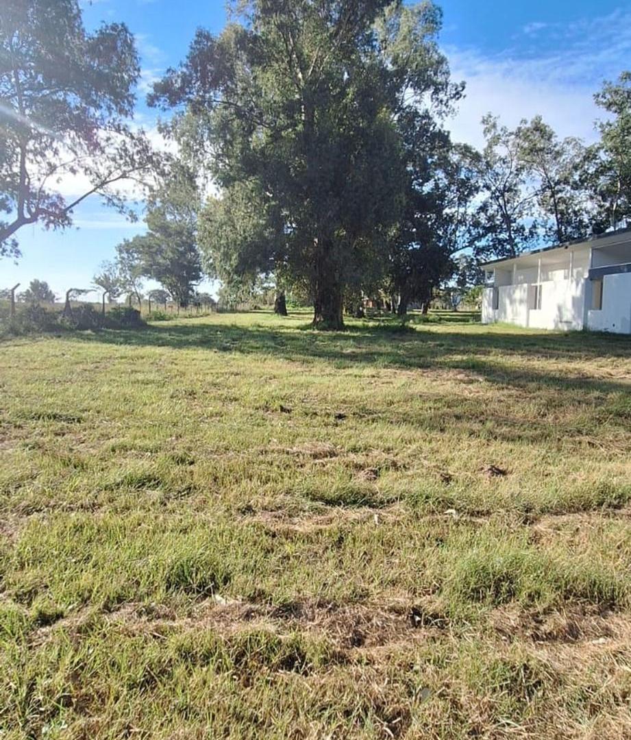 Foto de Vendo lote 937 m2 · Aldea Setubal · Barrio cerrado, imagen 4