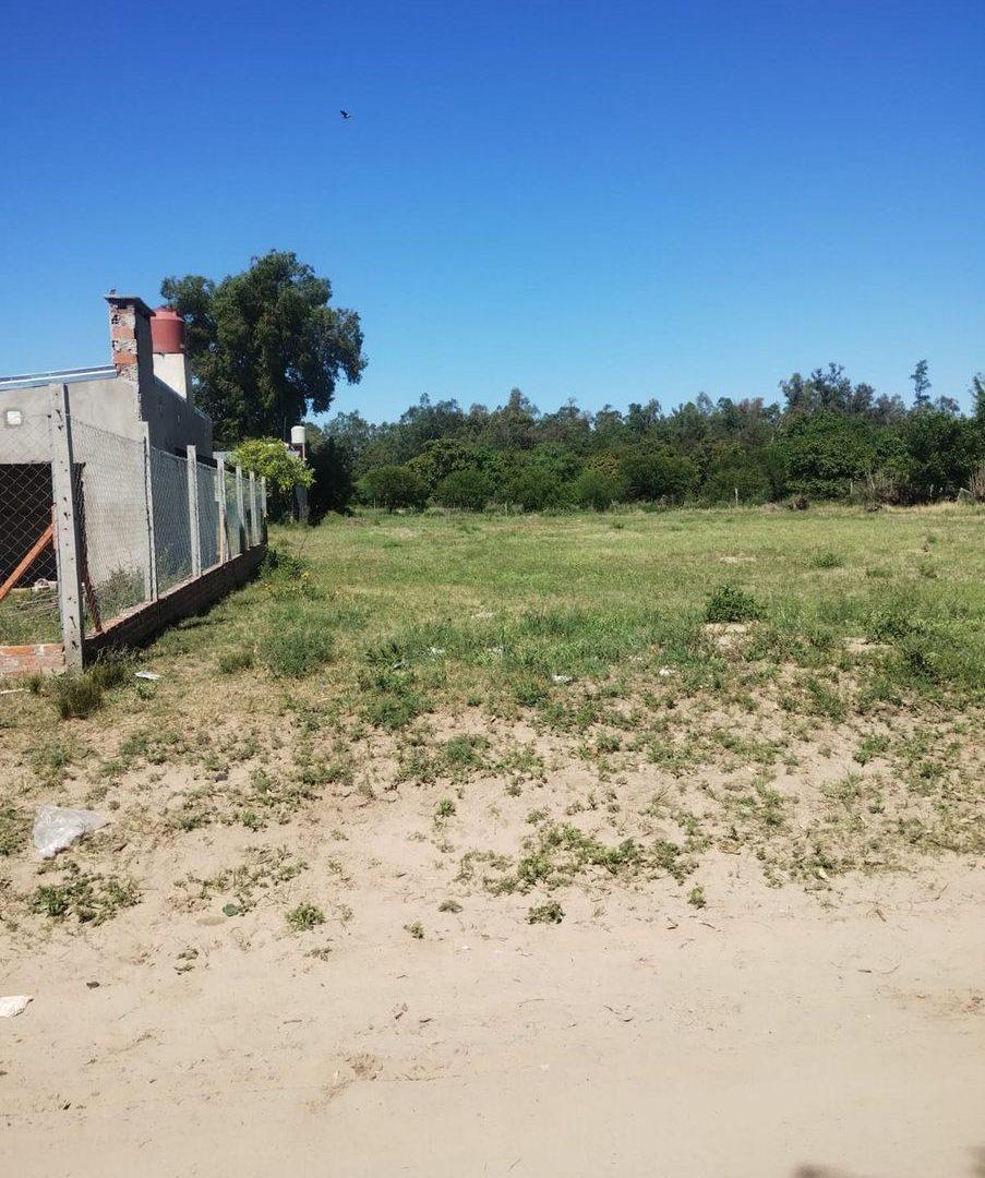 Foto de GRAN TERRENO DE 2300 M2 EN ARROYO LEYES, imagen 3