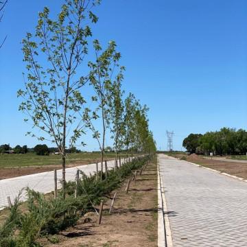 Propiedad en Argentina