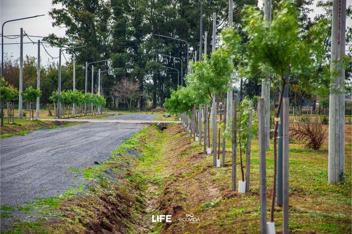 Foto de EN VENTA -TERRENO 300M2 - ECO VIDA, VILLA AMELIA, imagen 2