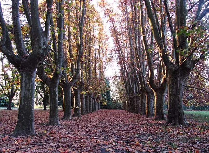 VENTA - TERRENO - AZAHARES DEL PARANA 3