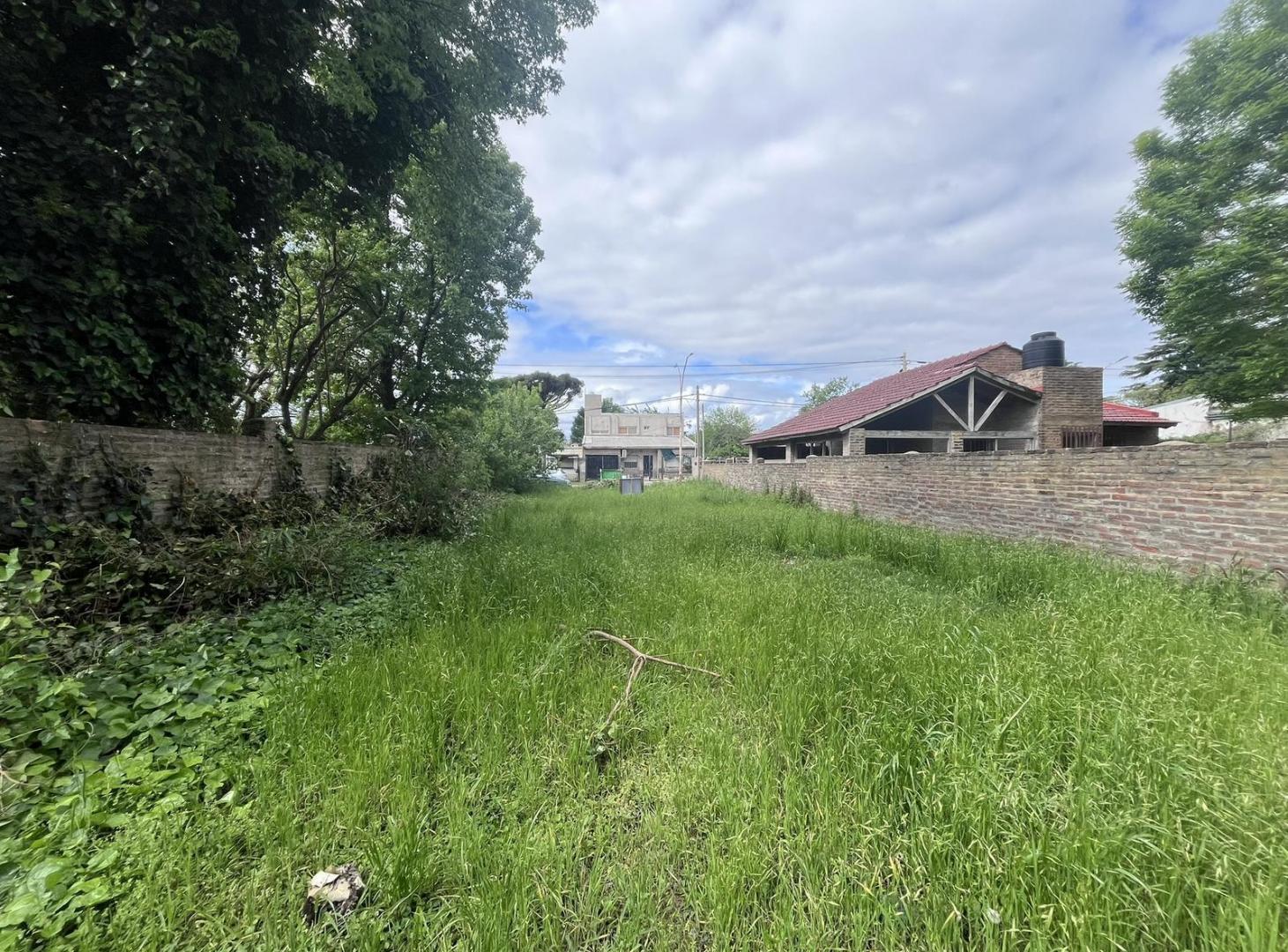 Foto de Venta Terreno en Casco Urbano Alvear, imagen 4