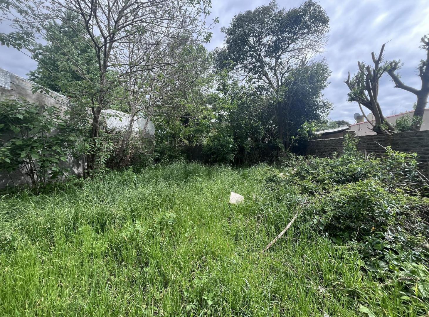 Foto de Venta Terreno en Casco Urbano Alvear, imagen 3