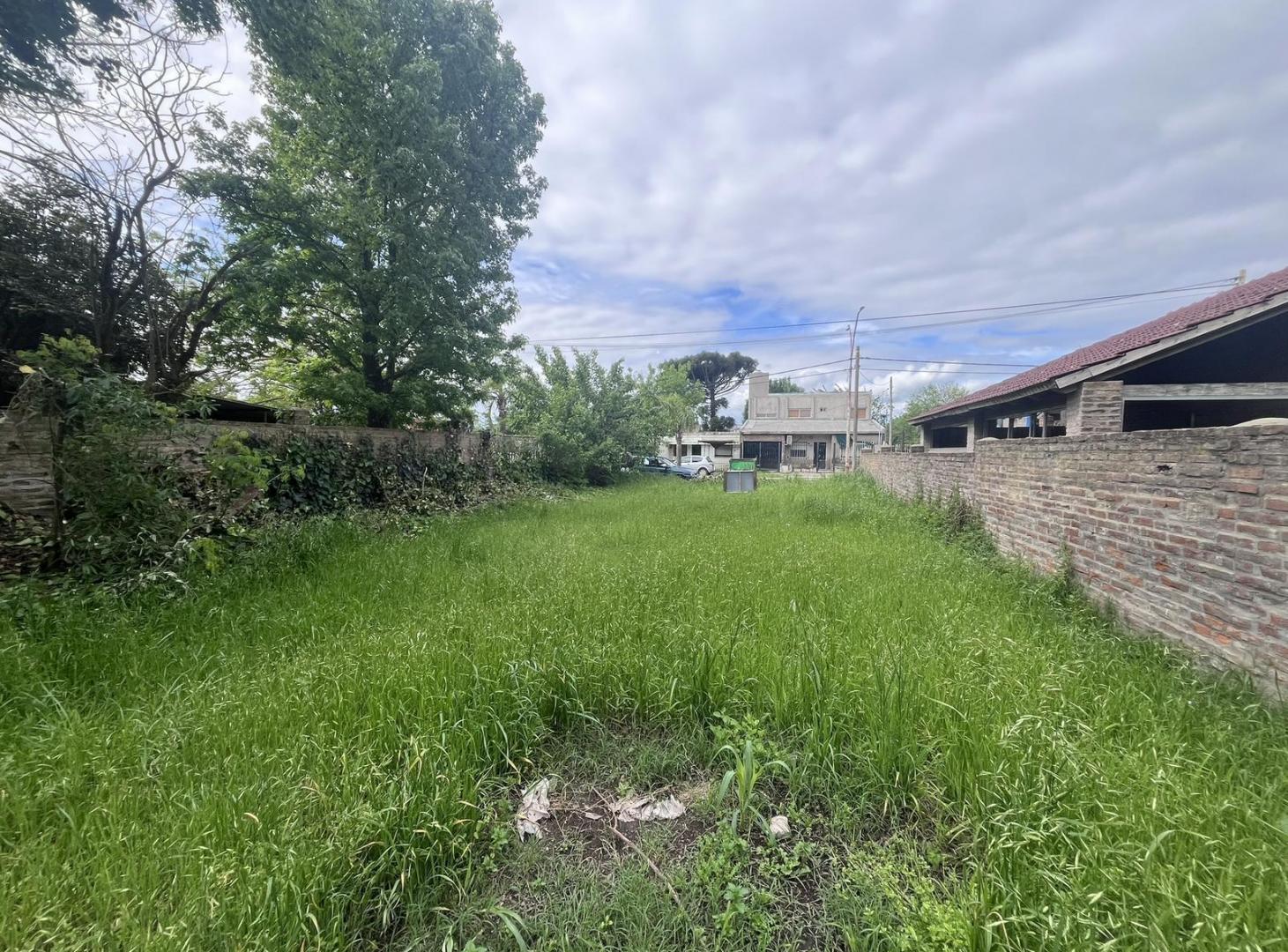 Foto de Venta Terreno en Casco Urbano Alvear, imagen 5