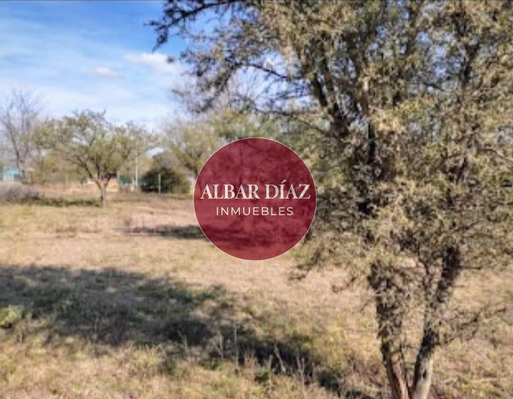 Foto de LOTE PLANO CON ESCRITURA Y CERTIFICADO AMOJONAMIENTO, imagen 5