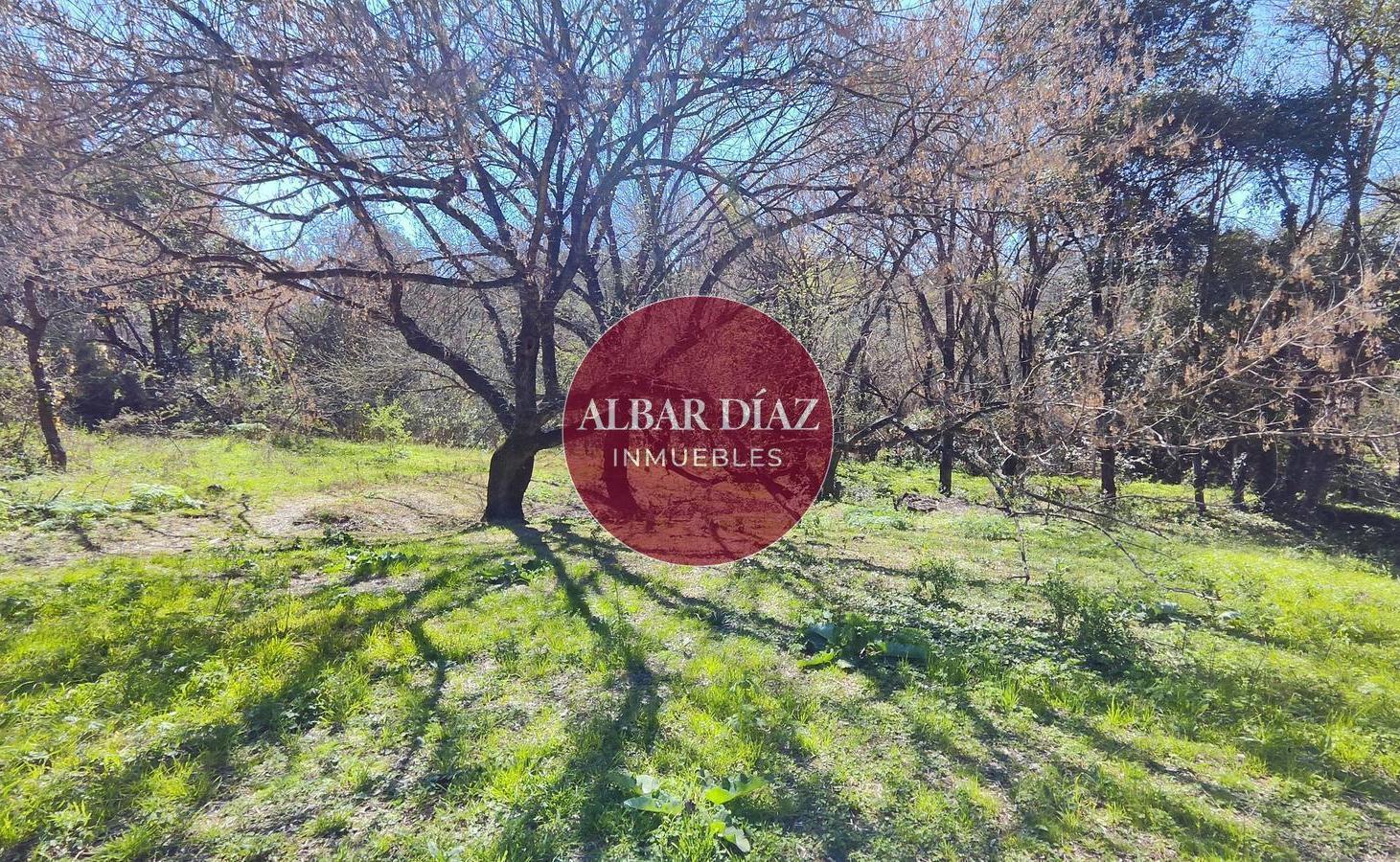 Foto de ESPECTACULAR TERRENO EN UNQUILLO 1600 m2- Barrio Lomas de Azulay, imagen 5