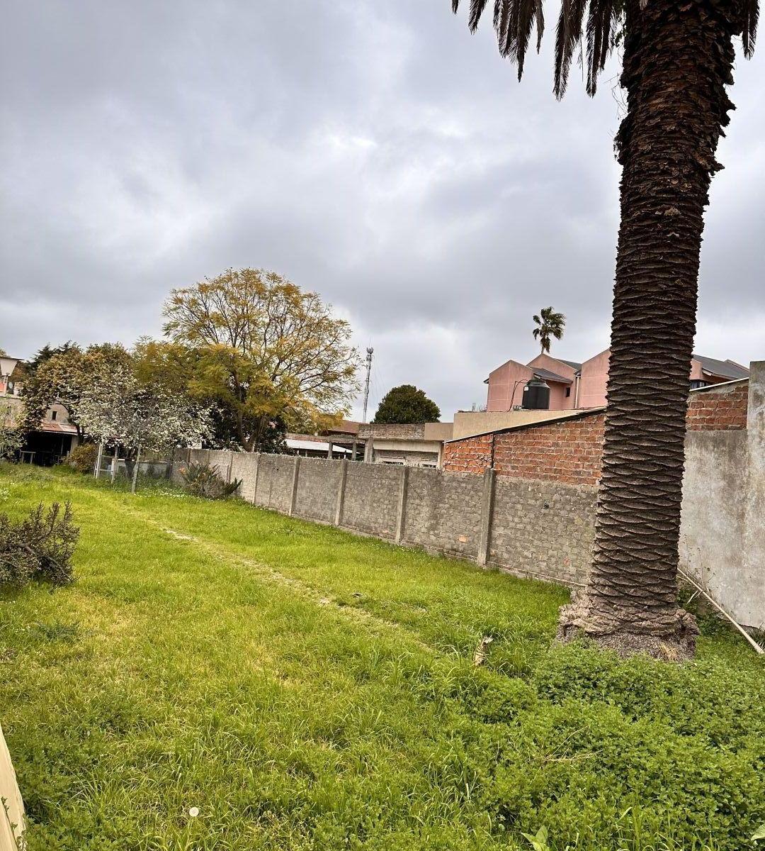 Lote. | Dr. Sallares Al 500 2