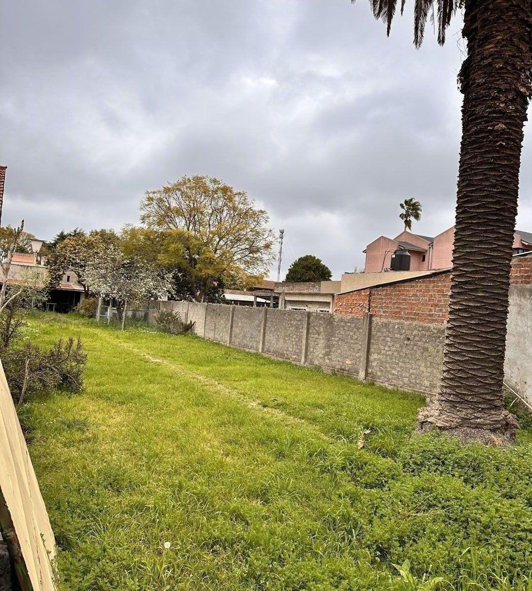 Lote. | Dr. Sallares Al 500 3