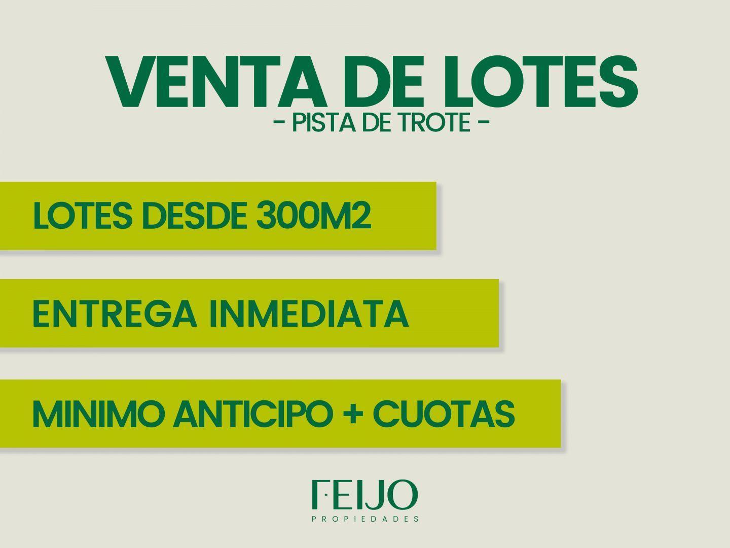 Foto de Lote . | Gral. Villegas, imagen 4