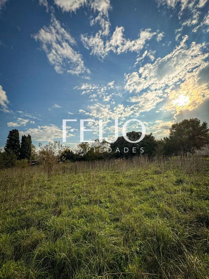 Lote . | EVA PERON al 18.000 1